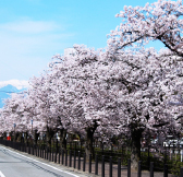 山梨 石和温泉